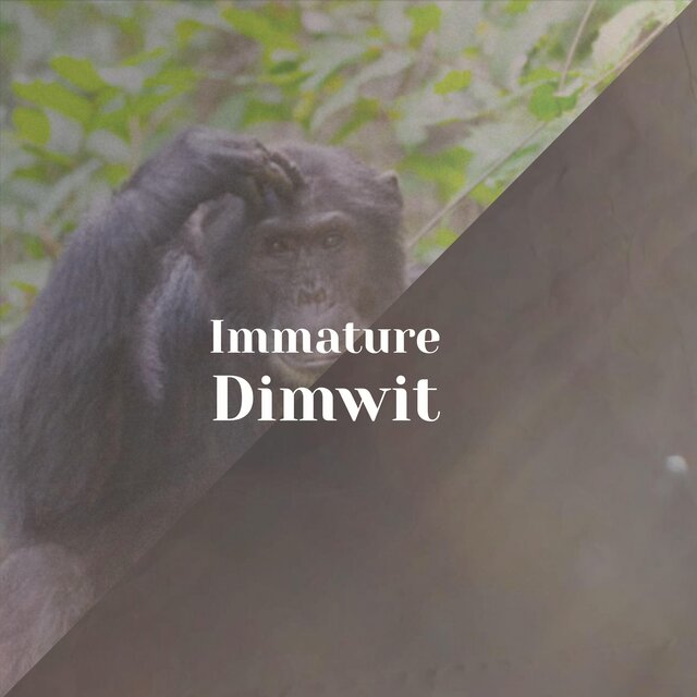 Immature Dimwit