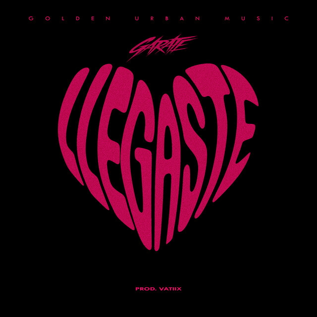 Llegaste