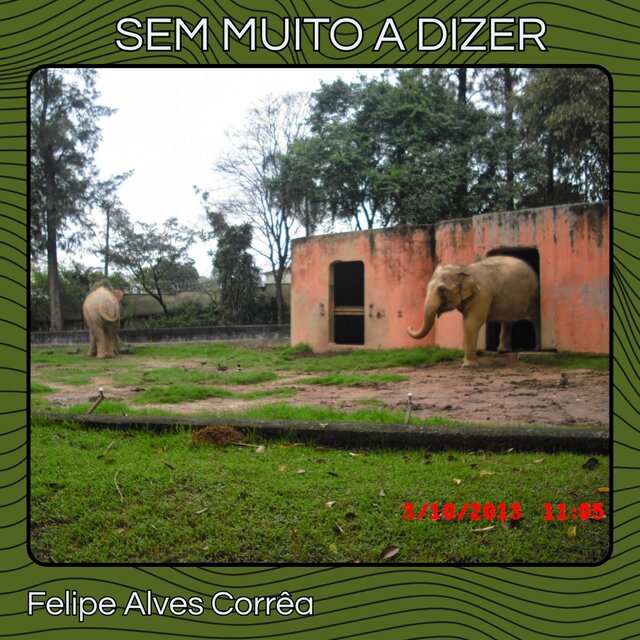 SEM MUITO A DIZER