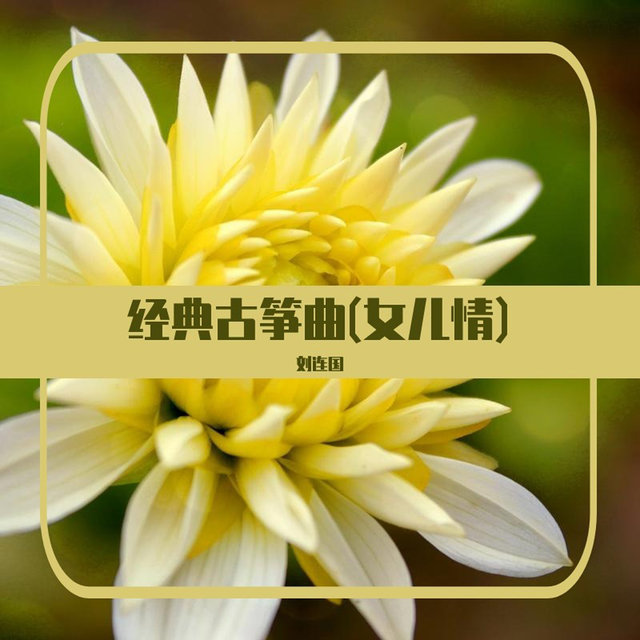 经典古筝曲(女儿情)