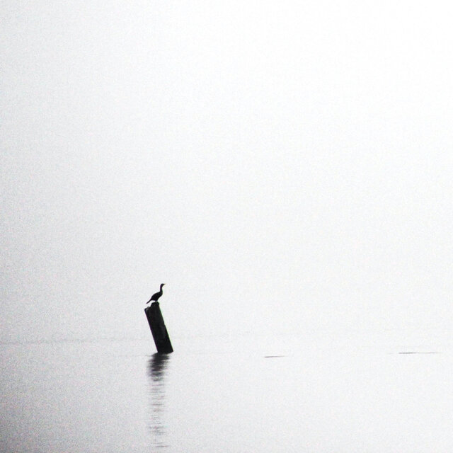 Solace