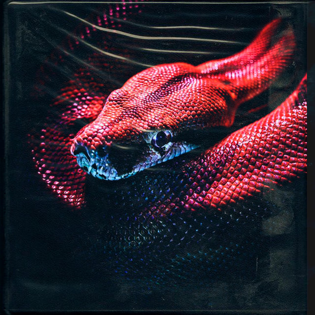 Cobra
