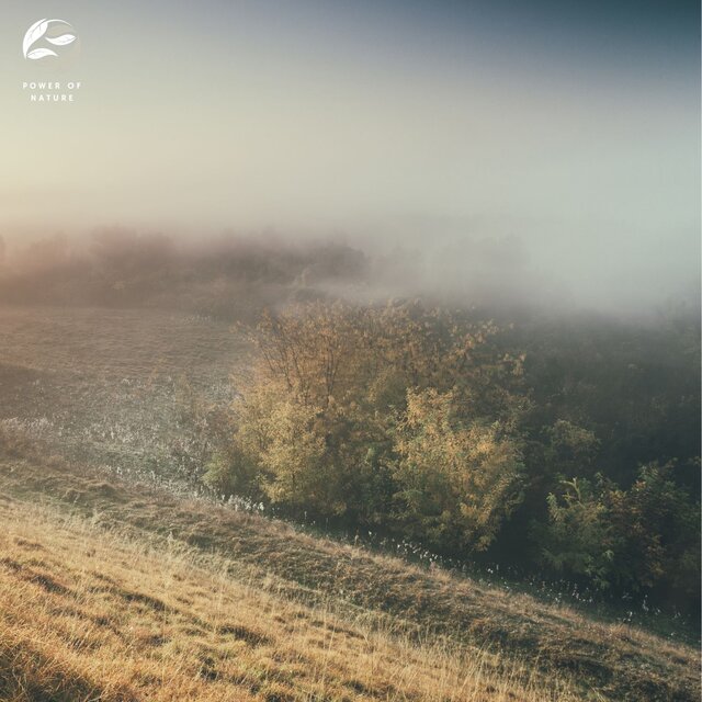 Piano Resonance in Nature