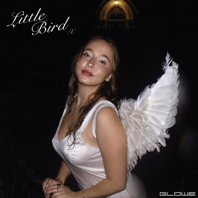 Little Bird