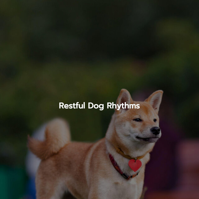 Restful Dog Rhythms