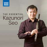 Flute Concerto in D Major, Badley D6: II. Adagio