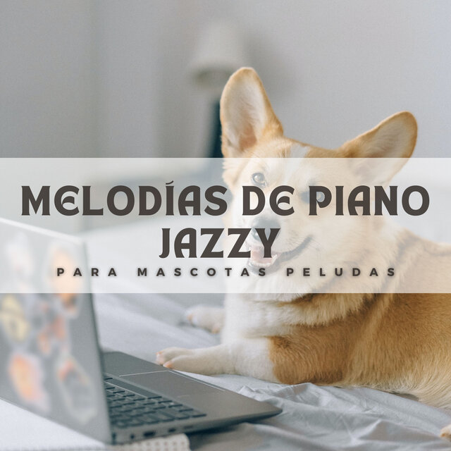 Melodías De Piano Jazzy Para Mascotas Peludas