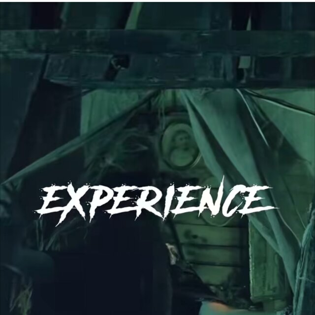 EXPERIENCE