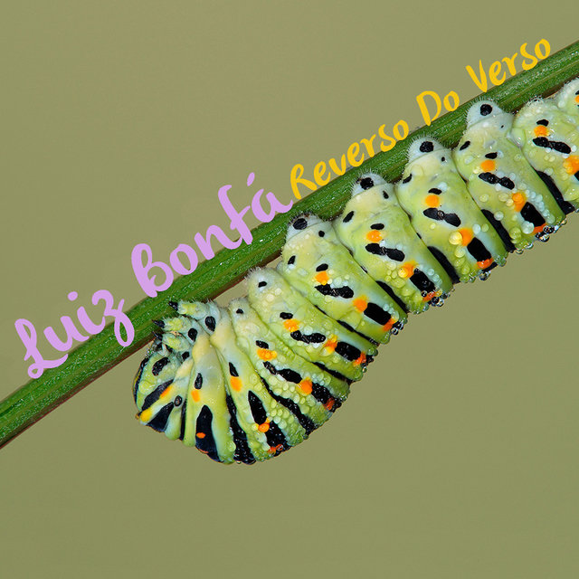 Reverso do Verso