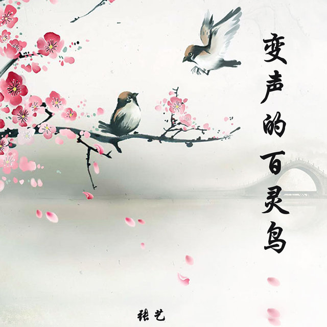 变声的百灵鸟