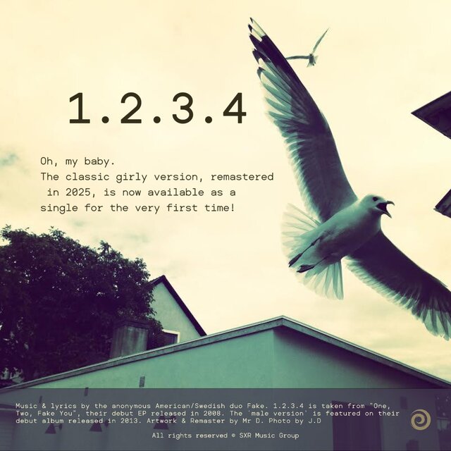 1.2.3.4
