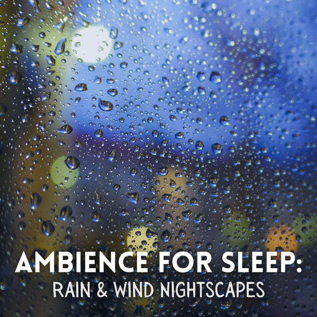 Ambience for Sleep: Rain & Wind Nightscapes