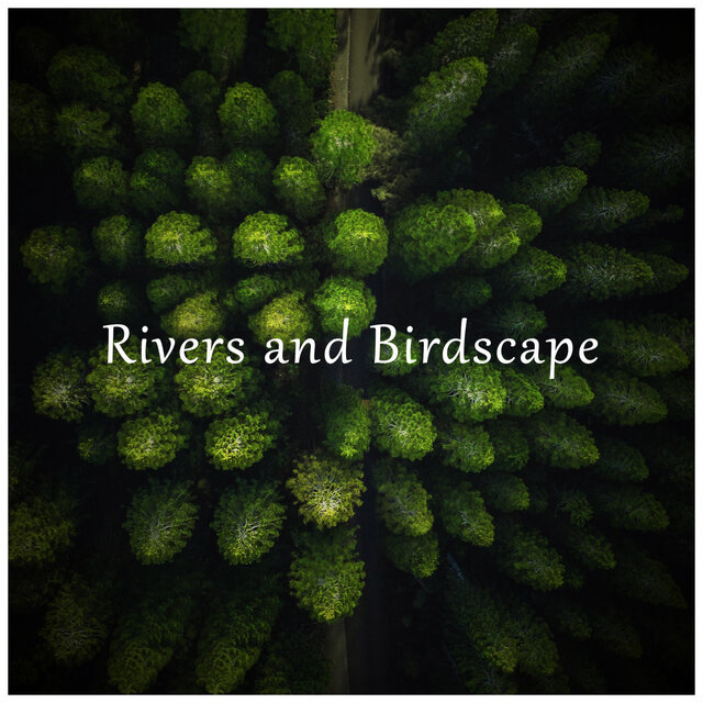 Rivers and Birdscape