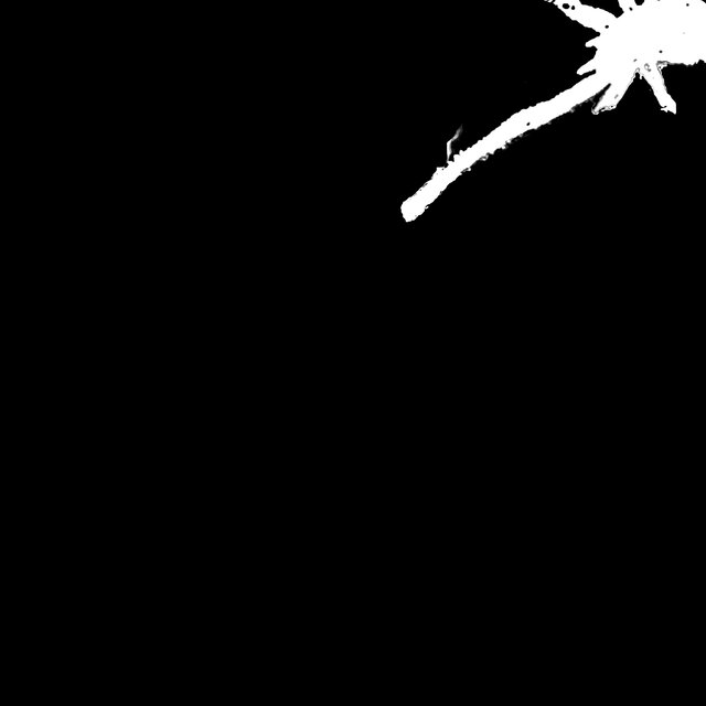 Save The Whales