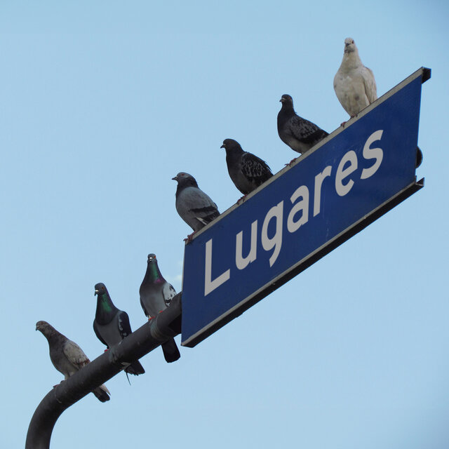 Lugares