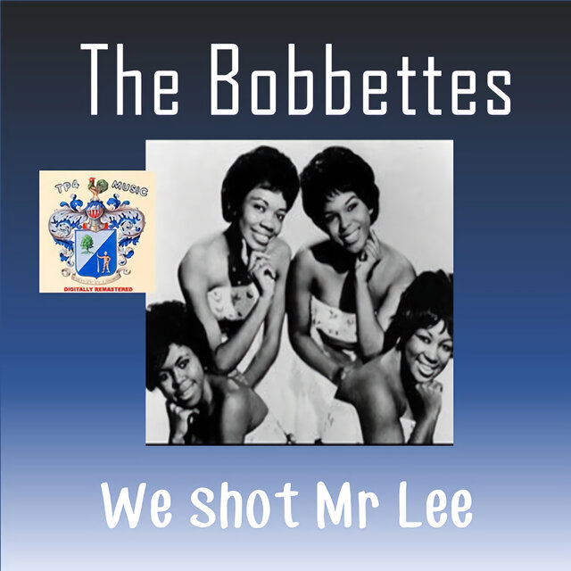 We Shot Mr. Lee