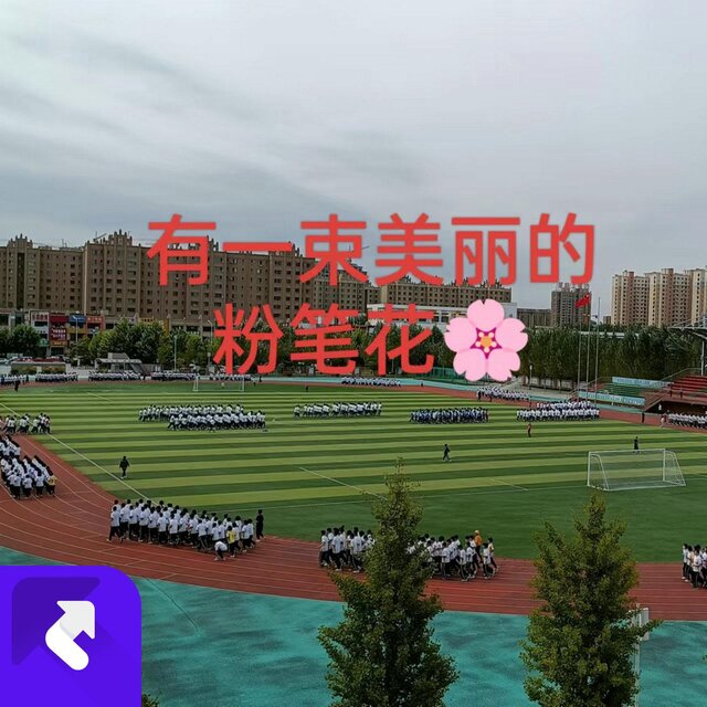 有一束美麗的粉筆花