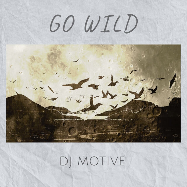 GO WILD