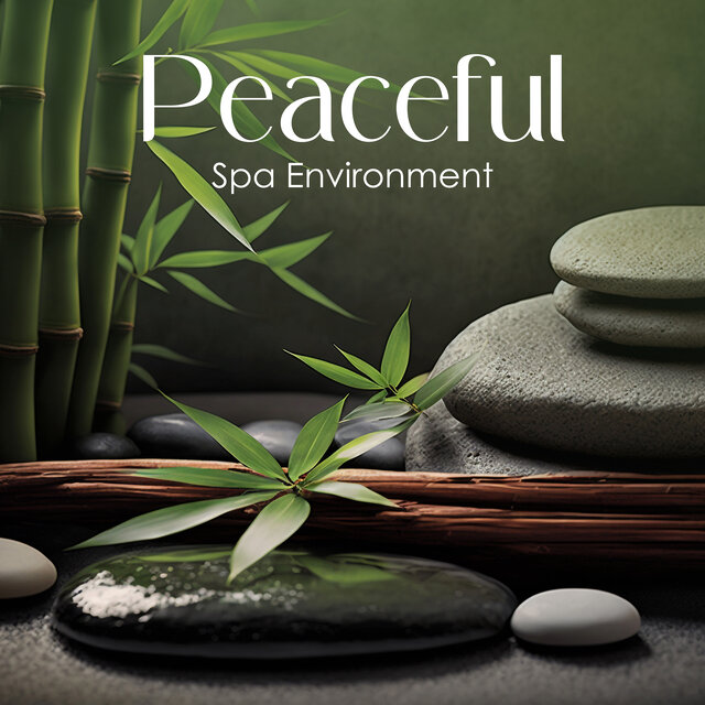 Peaceful Spa Environment: Soothing Session for Mind and Body with Zen