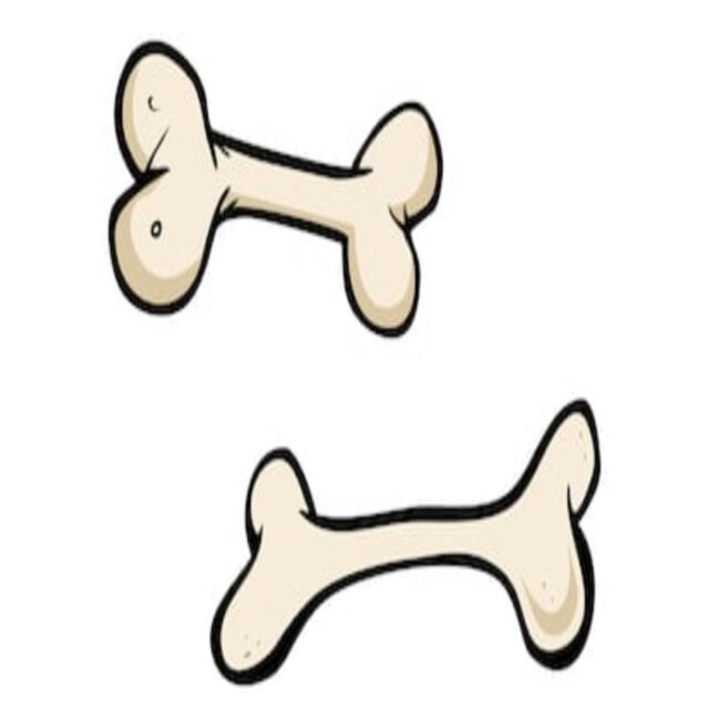 Bones