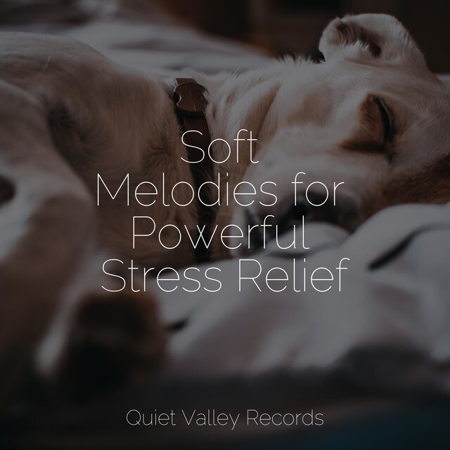 Soft Melodies for Powerful Stress Relief