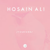 Your Bird