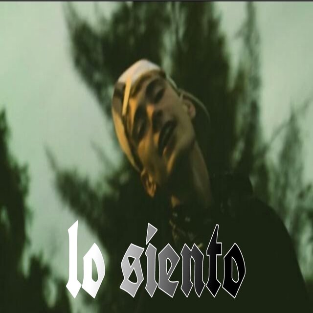 Lo siento