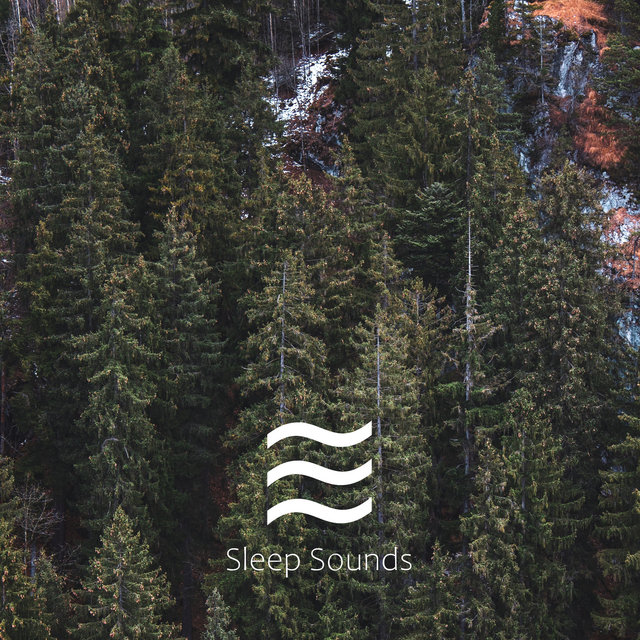 Shushing Calm Noises Looped and No Fade for Sleep