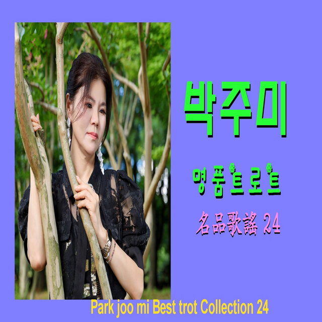 박주미의 명품트로트24