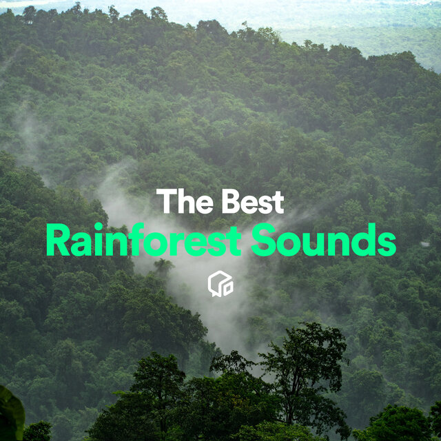 The Best Rainforest Sounds