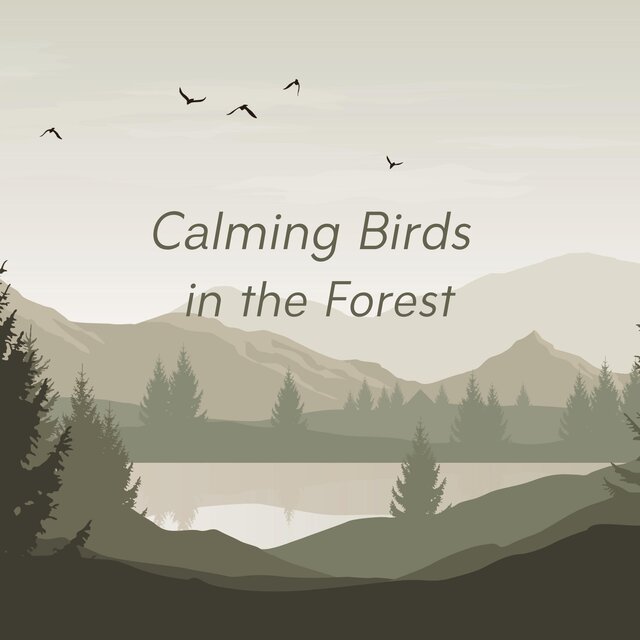 Calming Birds in the Forest