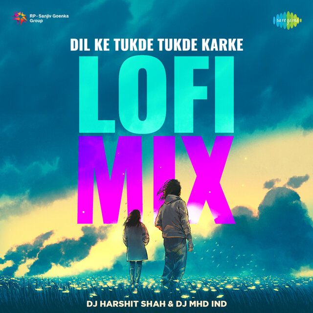 Dil Ke Tukde Tukde Karke (Lofi Mix)