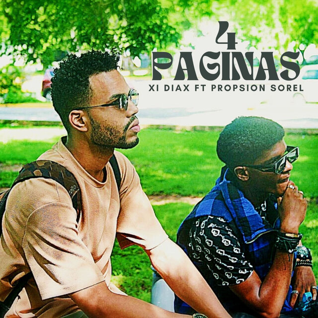 4 Páginas