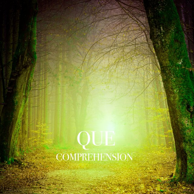 Comprehension