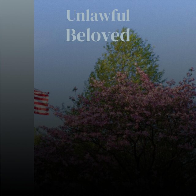 Unlawful Beloved