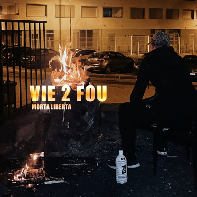 Vie 2 fou