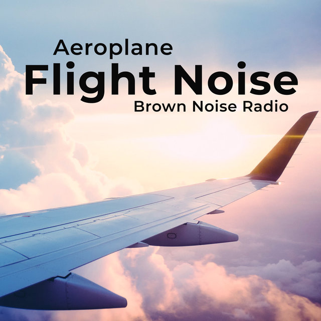 Aeroplane Flight Noise