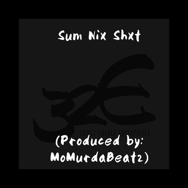 Sum Nix Shxt