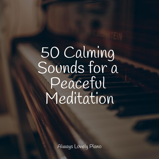 Ambient Songs | Sleep and Relaxation