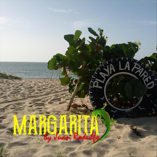 Margarita