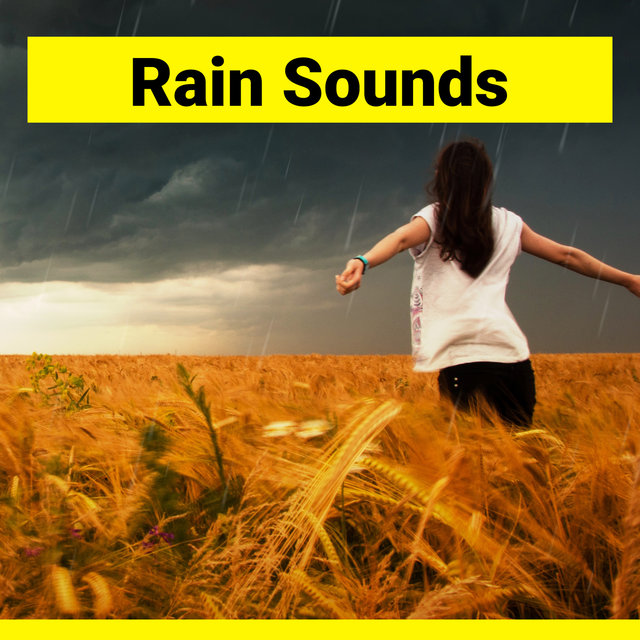 Cozy Rain Sounds