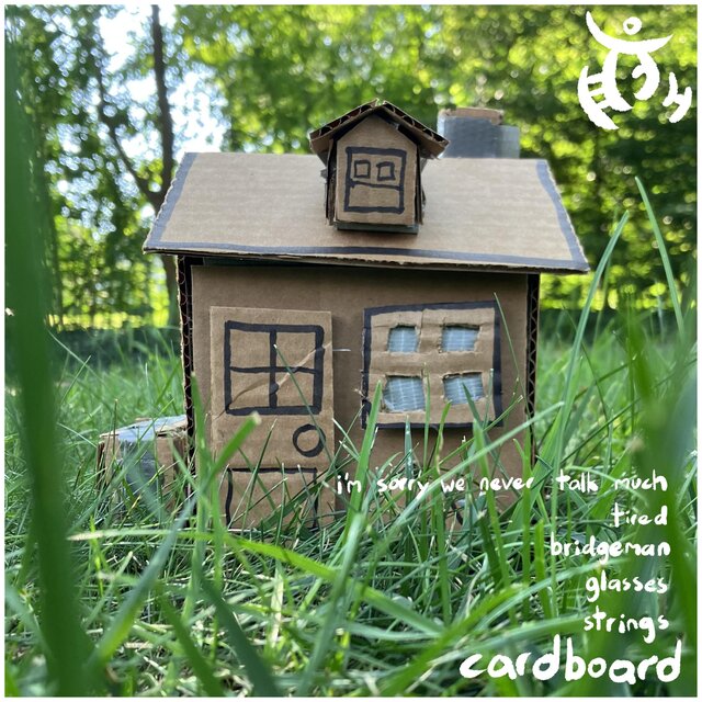 cardboard