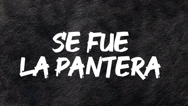 Se Fue La Pantera