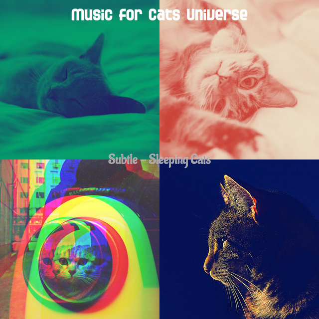 Subtle - Sleeping Cats