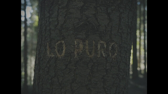 Lo Puro