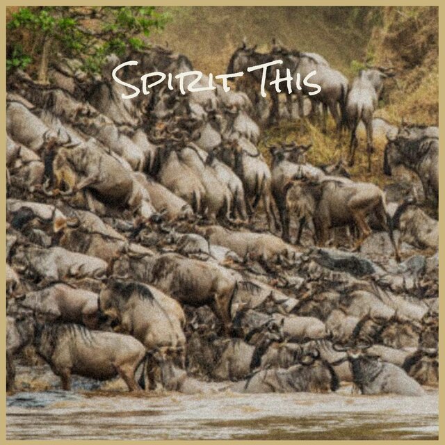 Spirit This