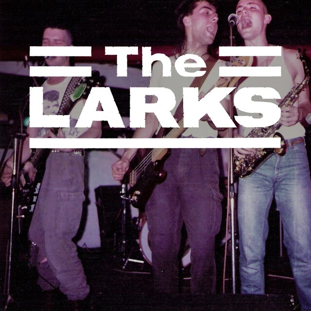 The Larks Live at Dingwalls (Bootleg)