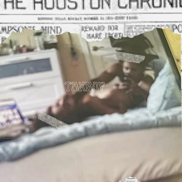Houston Chronicles