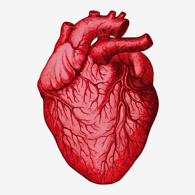 Resuscitation
