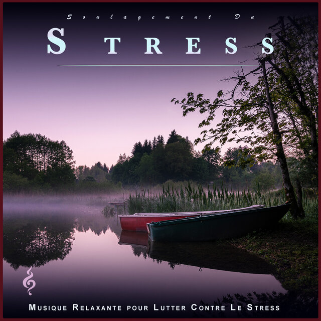 Soulagement Du Stress : Musique Relaxante à Énergie Positive